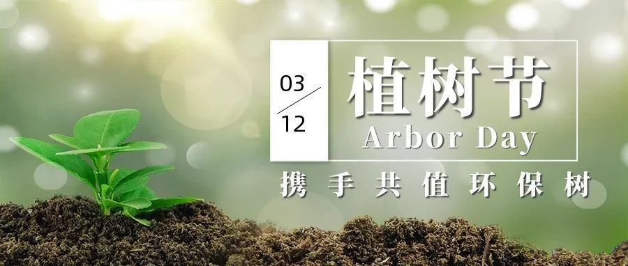 3.12植樹節 | 種下希望 收獲美好